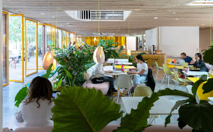 Природный стимулятор: пять необычных «зеленых» офисов со всего мира